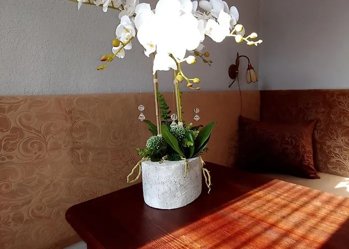 فندق مبيت وإفطار Warta 3*